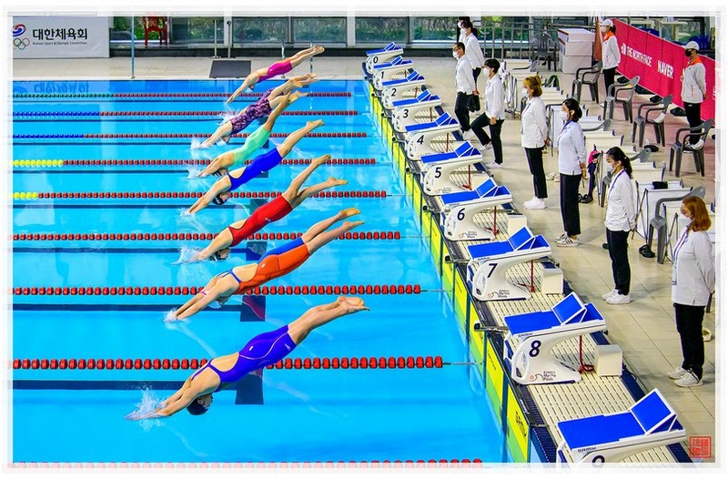전국체전 수영