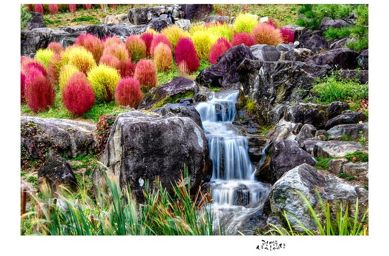 털썩 내려앉은 가을