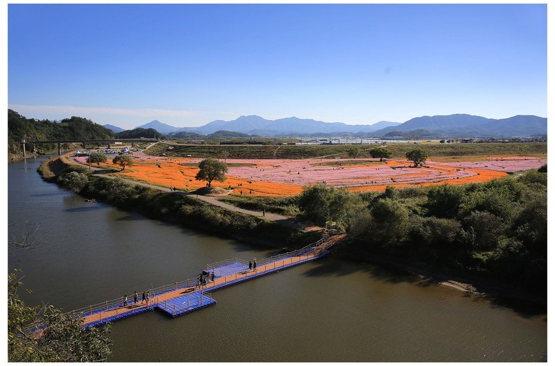 아름다운 꽃밭에서