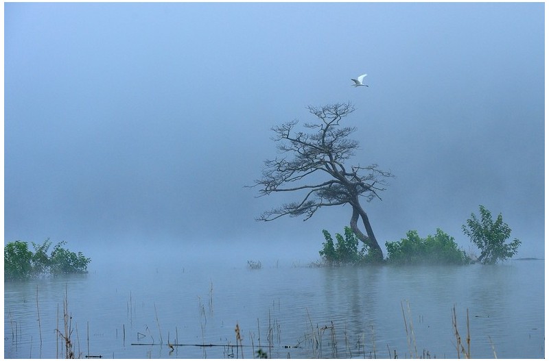 추억속의 부부송