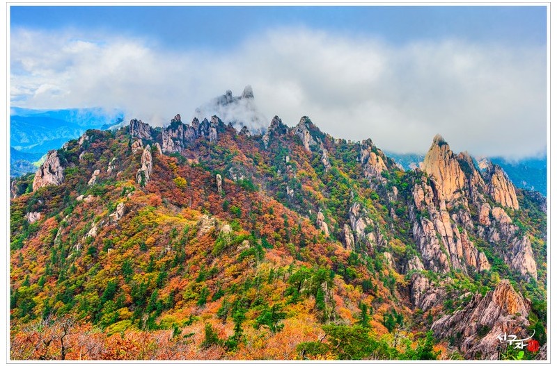 가을옷을 입은 공룡