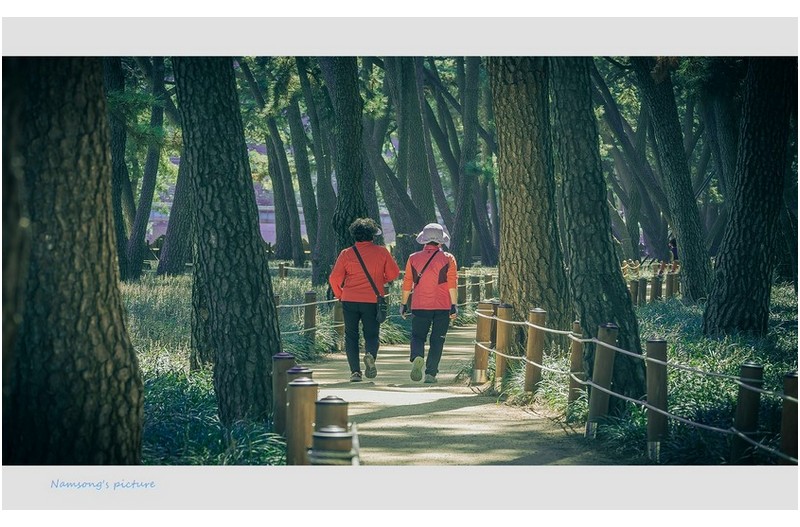 깊어 가는 가을에 -----