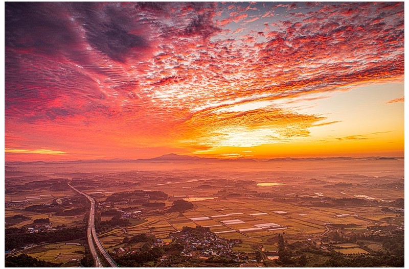 풍요로운 남도들녘 2