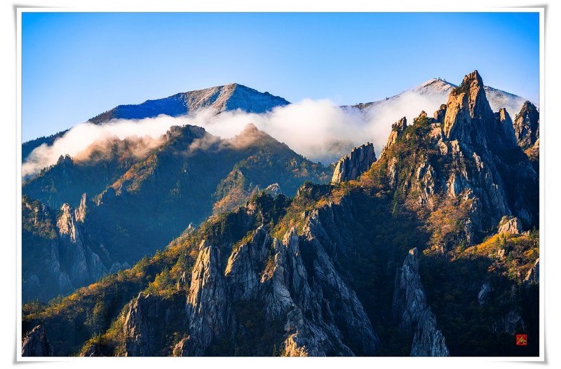 공존의 두 계절