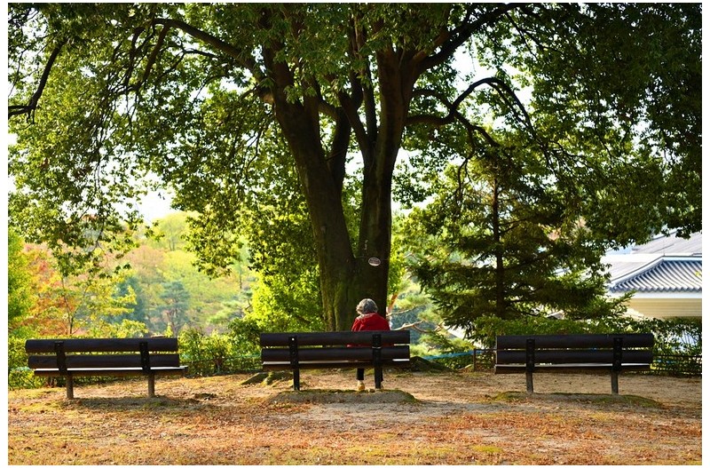 진주성 아침산책