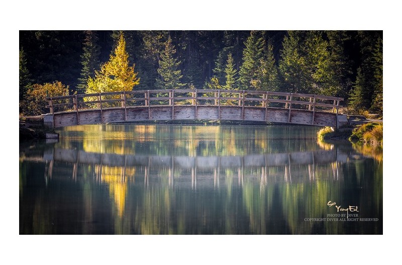 캐스케이드 폰드의 가을