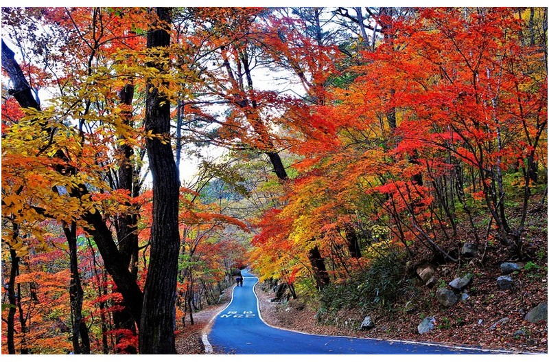 방태산의 또 다른 모습