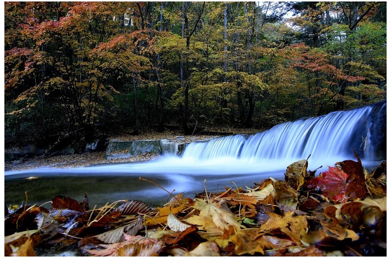 진조리  현재상황 휴대폰