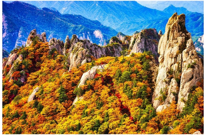 용아장성의 추색