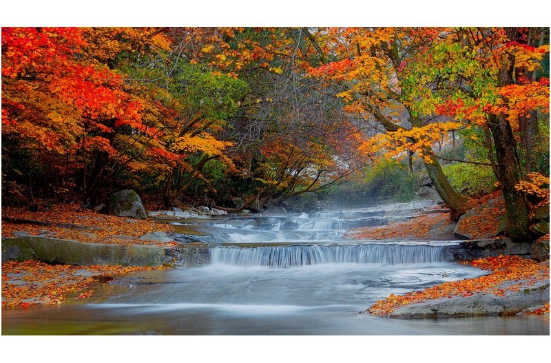 평창 용포동계곡