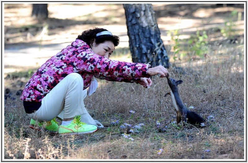 가까워진 청설모