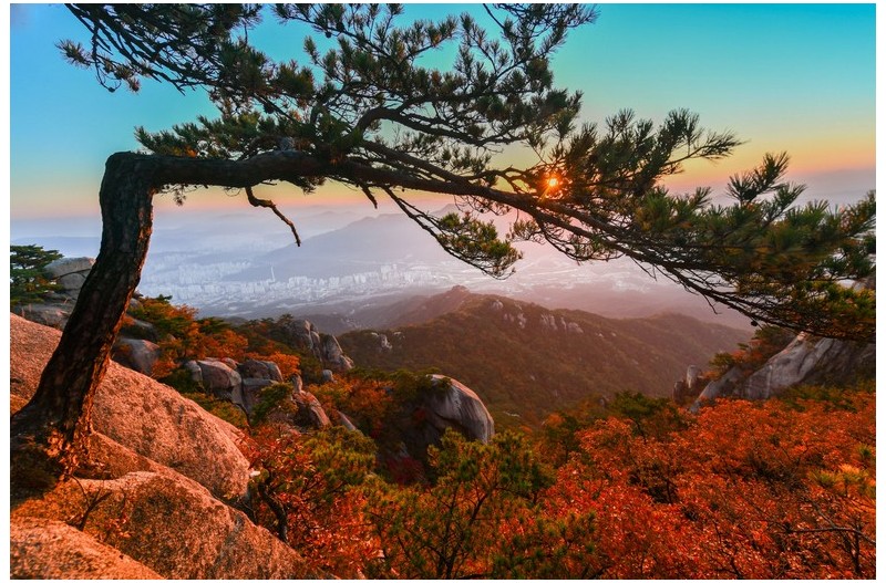 아름다운 우리강산