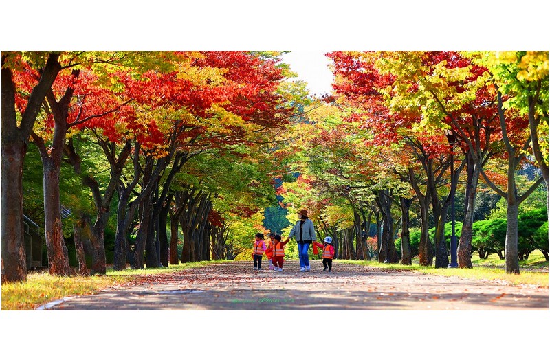 쌤과 나드리   ㅡㅡㅡㅡㅡㅡㅡㅡㅡㅡㅡㅡ