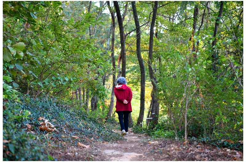 아침산책 망진산