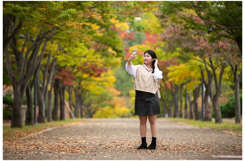 마로니에 단풍길
