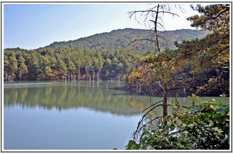 달래 저수지 단풍