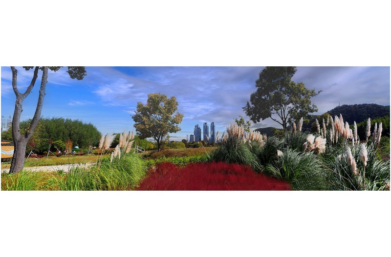 태화강 국가정원  ㅡㅡㅡㅡㅡㅡㅡㅡㅡㅡㅡㅡㅡㅡ