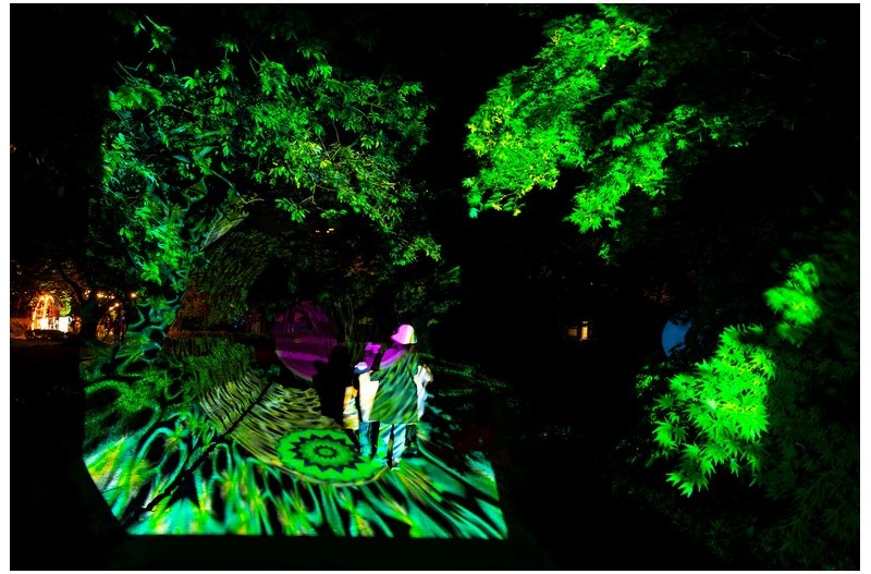 아름다운 조명에술