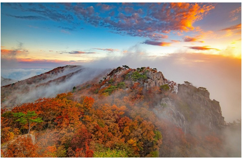 가을이  익어가네요