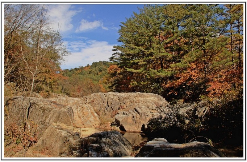 지고개 길목 단풍
