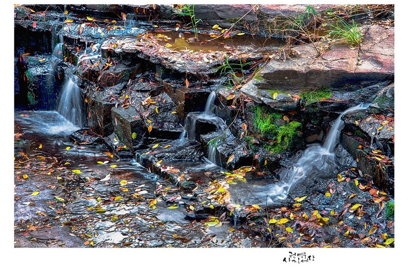 계절은 유수같이...