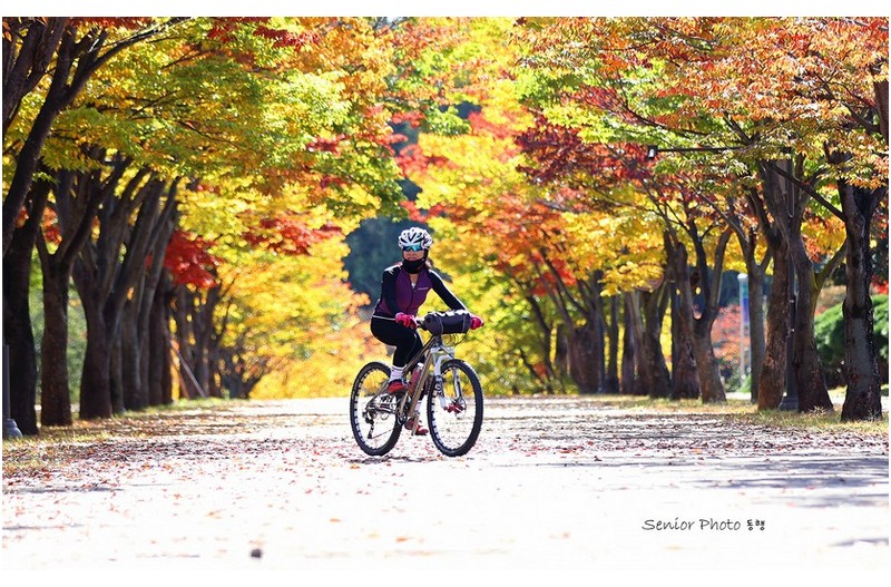 미소    ㅡㅡㅡㅡㅡㅡㅡㅡㅡㅡㅡㅡㅡㅡ