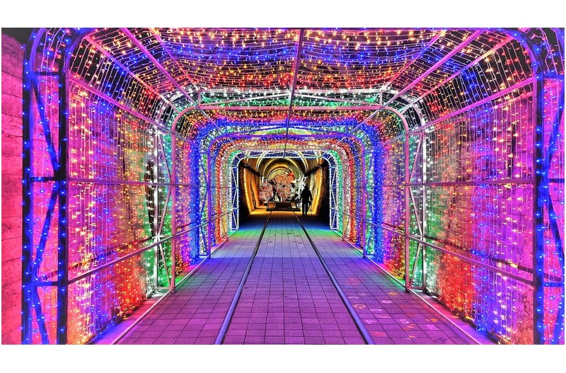 문경 오미자 터널