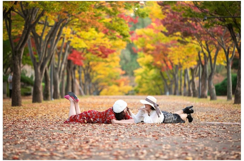 마로니에 길에서