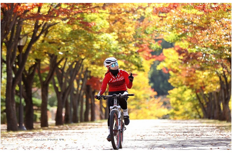 미소   ㅡㅡㅡㅡㅡㅡㅡㅡㅡㅡㅡㅡ