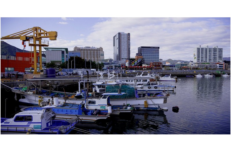 즐겨 찾는 바닷가의 풍경