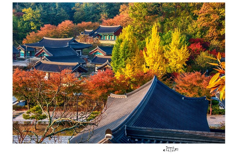 가을이 아름답게 꽃필 때