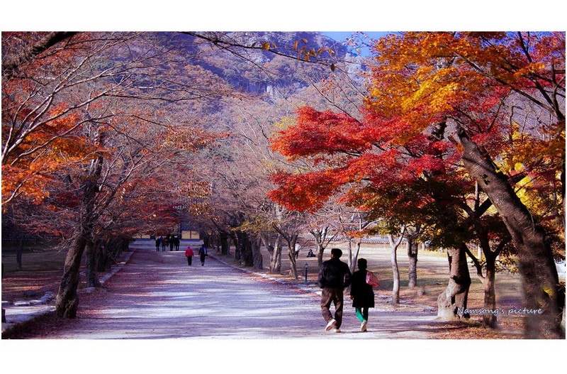 내소사로 가는 길  ----