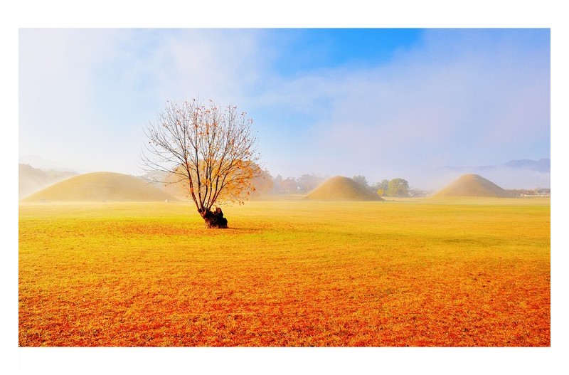 대릉원의 아침풍경