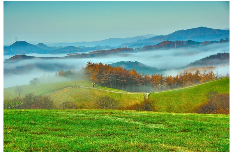 양떼목장 - 가을풍경