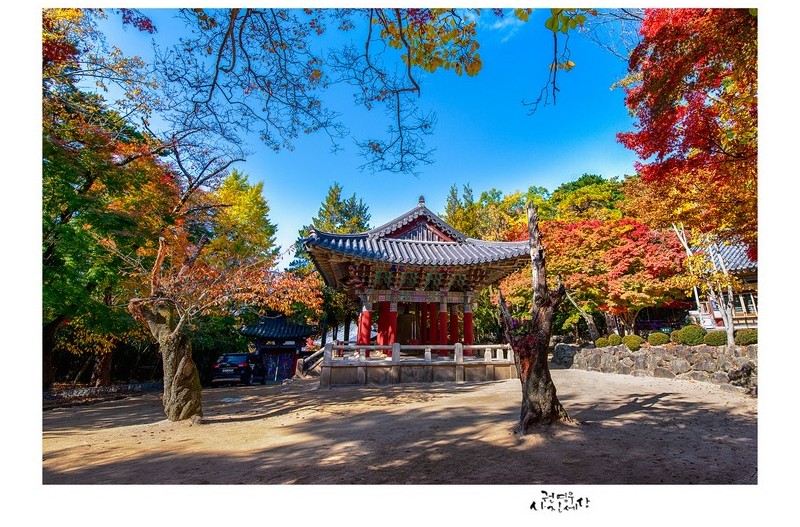 뒤쫓기 바쁜 가을