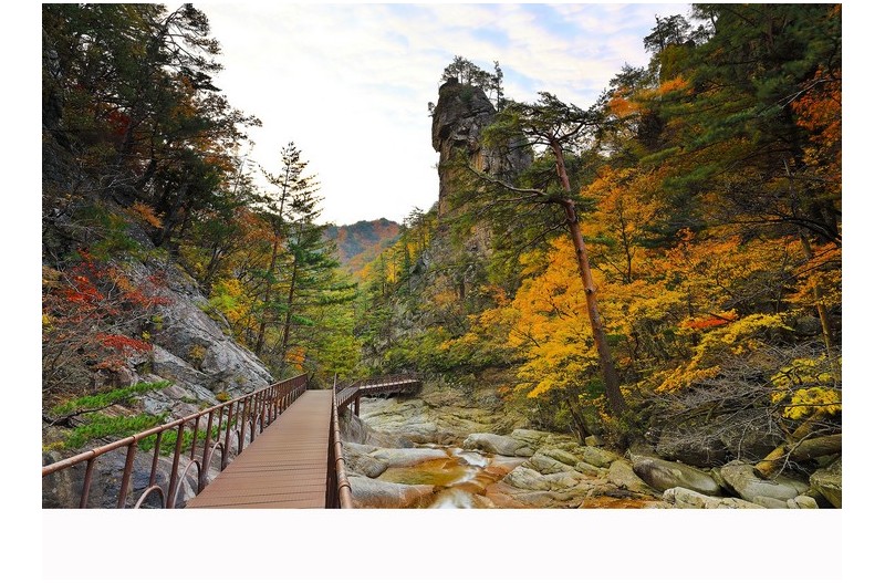 아름다운 우리강산