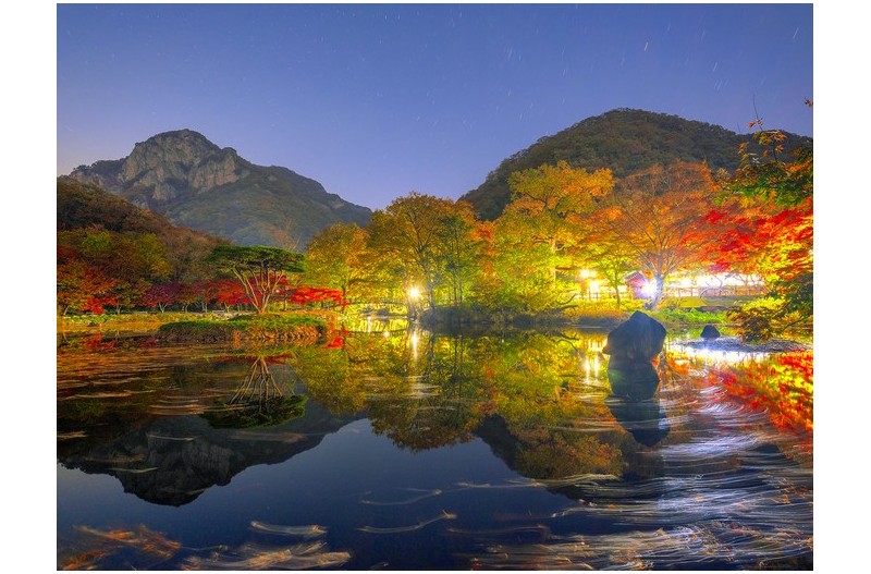 백양사 입구 야경