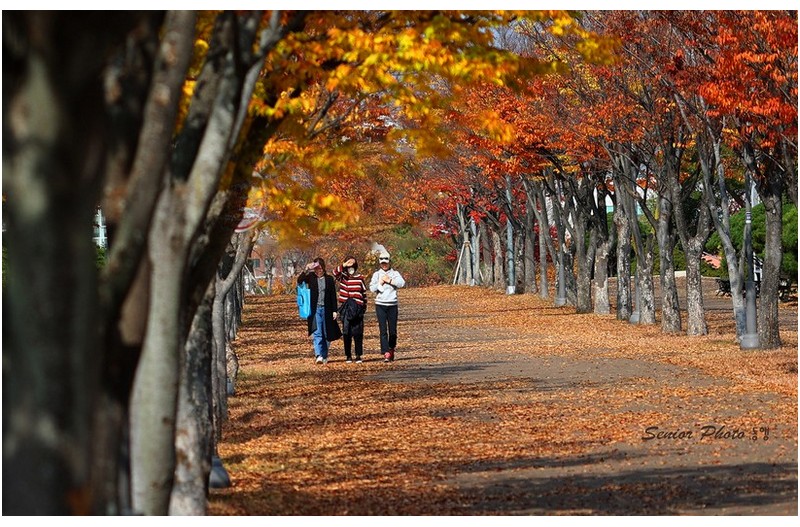 낙엽따라   ㅡㅡㅡㅡㅡㅡㅡㅡㅡㅡㅡ