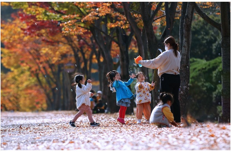 소풍왔어요   ㅡㅡㅡㅡㅡㅡㅡㅡㅡㅡㅡㅡㅡ