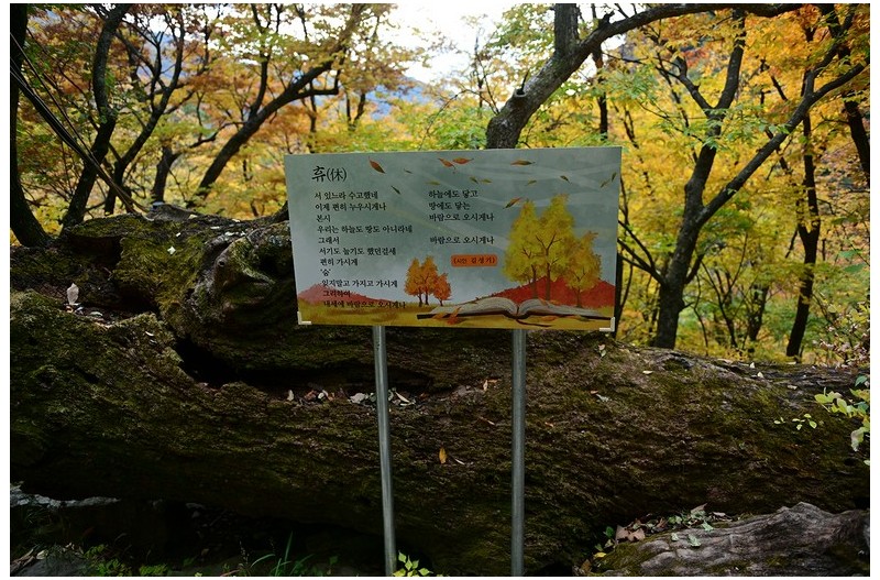 청량사 가는길에