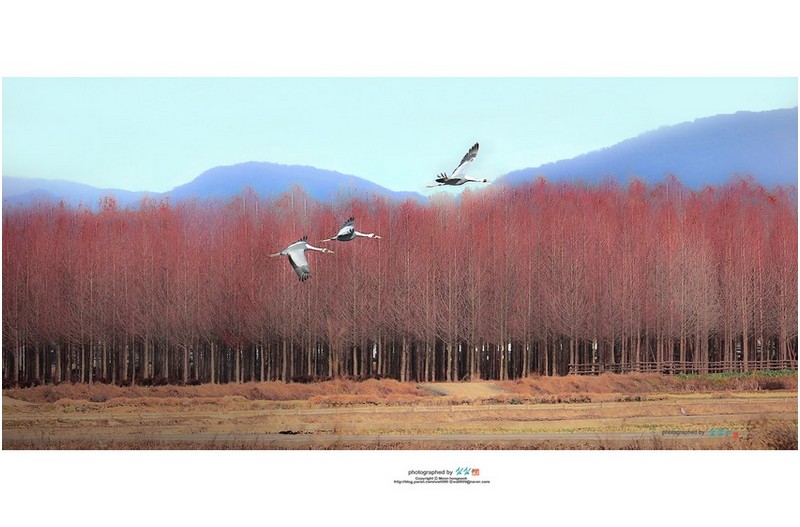 아름다운 비행..