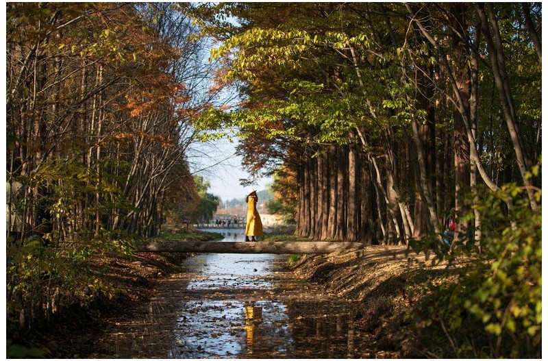 경주 산림환경연구원