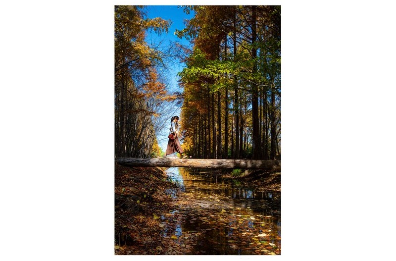 한계절이 건너갑니다