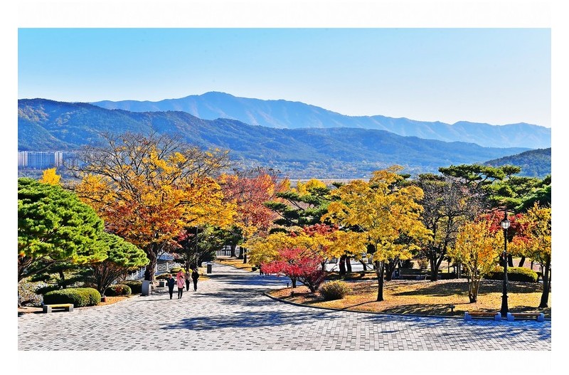 홀연히 떠나가는 가을