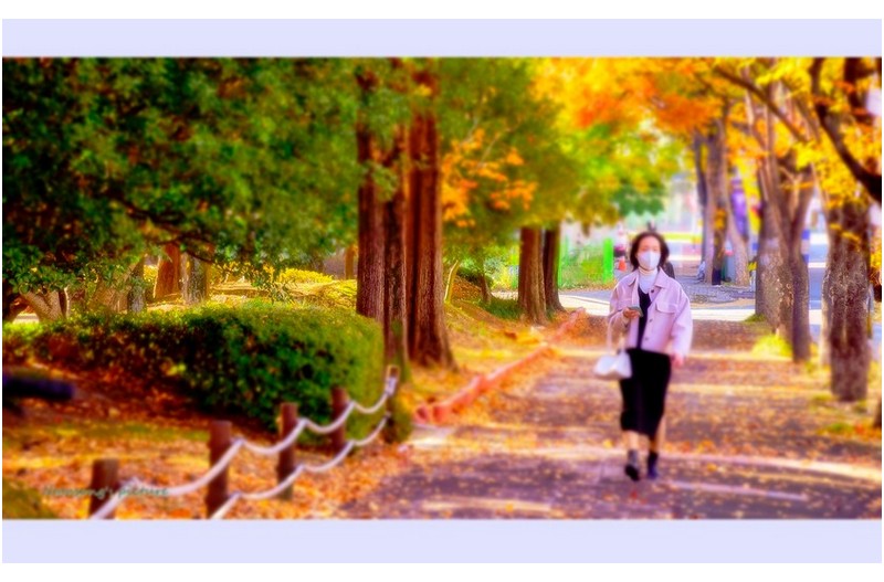 가을 나들이 -----