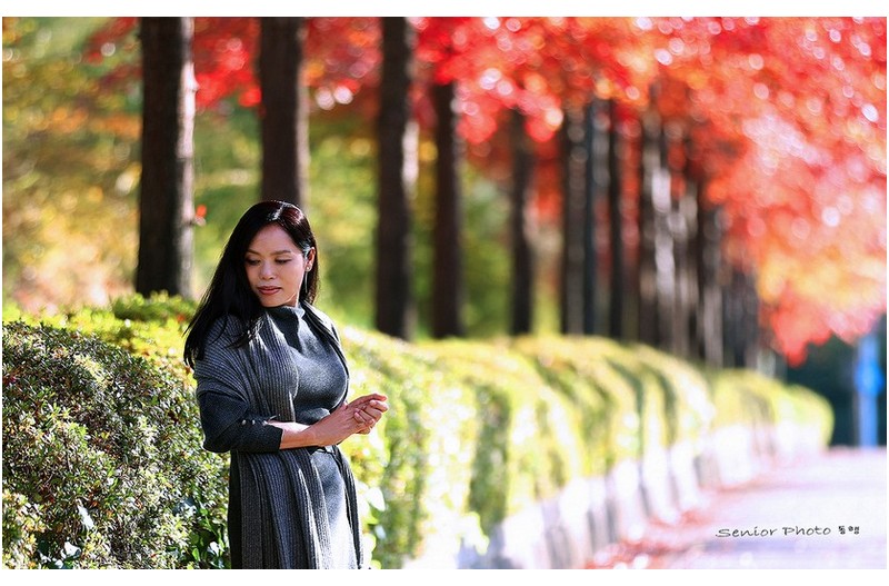 낙엽따라 가버린사랑  ㅡㅡㅡㅡㅡㅡㅡㅡㅡㅡ