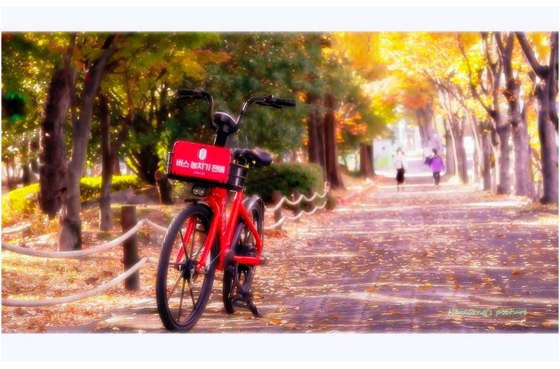 버려진 자전거 -----