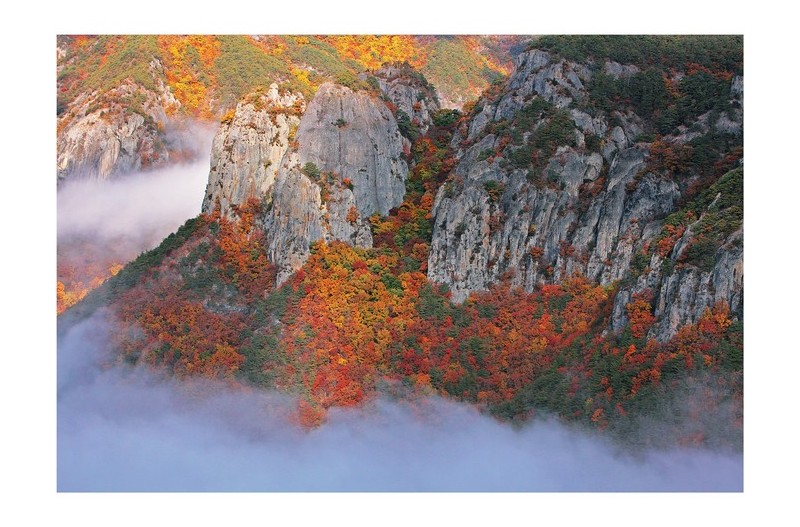 주왕산 기암 단풍