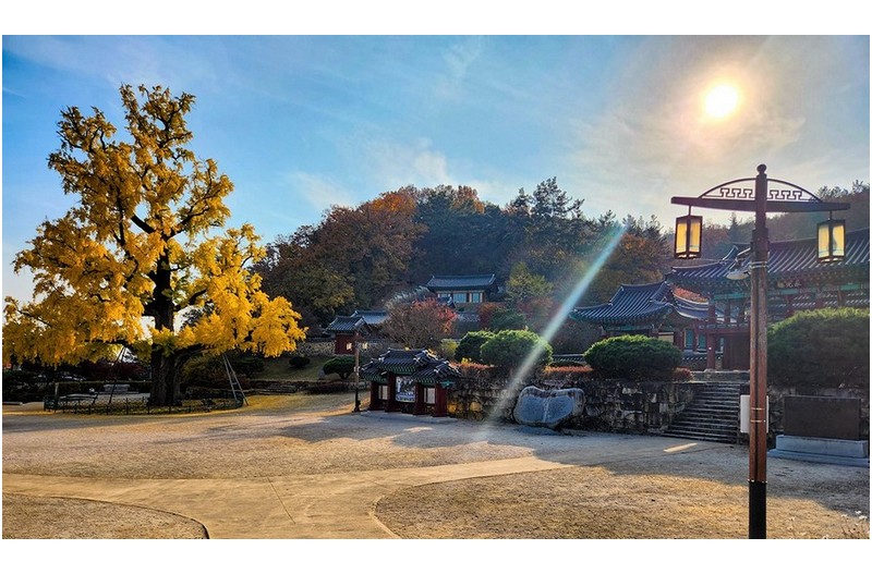 임고서원의 오후