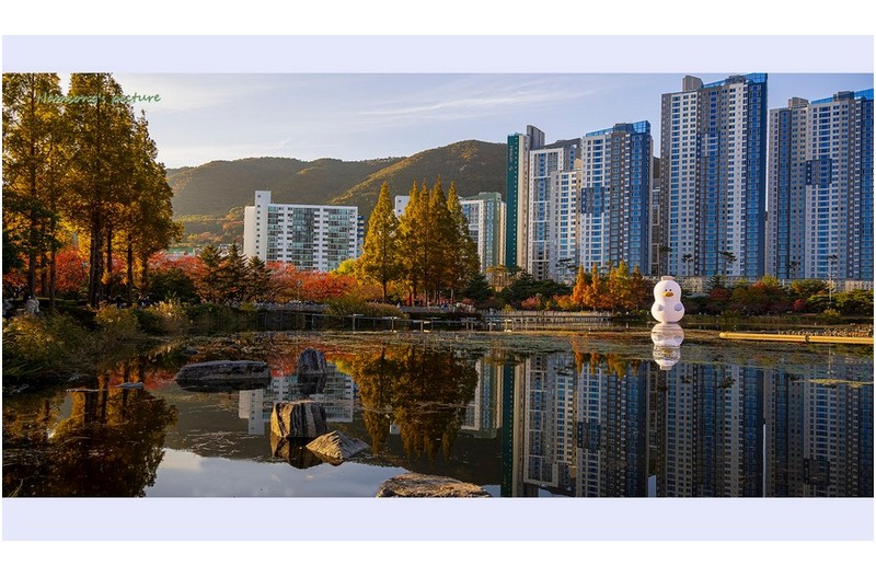 호수의 가을 ----